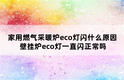 家用燃气采暖炉eco灯闪什么原因 壁挂炉eco灯一直闪正常吗